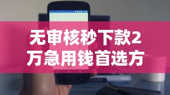 无审核秒下款2万急用钱首选方案