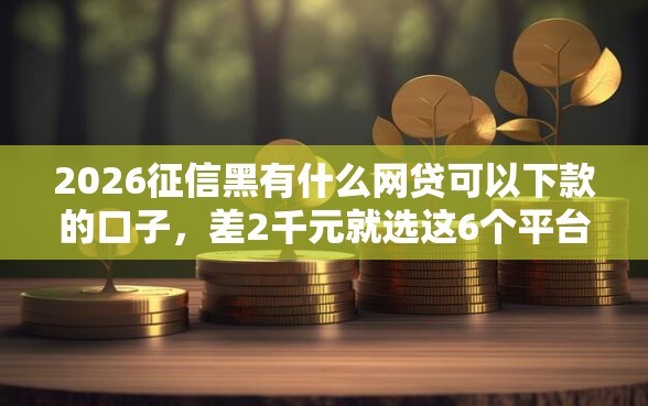 2026征信黑有什么网贷可以下款的口子，差2千元就选这6个平台