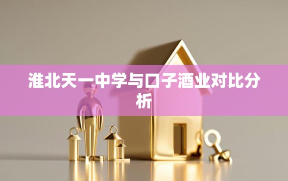 淮北天一中学与口子酒业对比分析