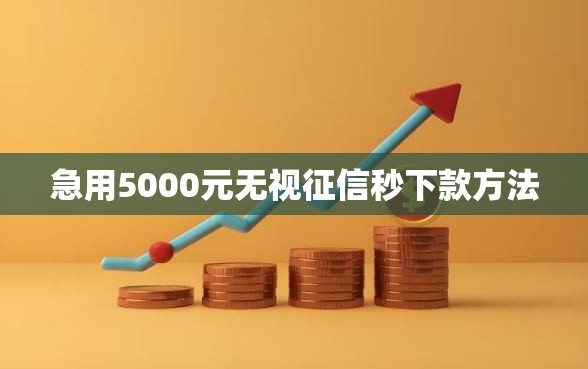 急用5000元无视征信秒下款方法