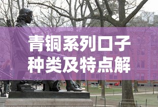 青铜系列口子种类及特点解析