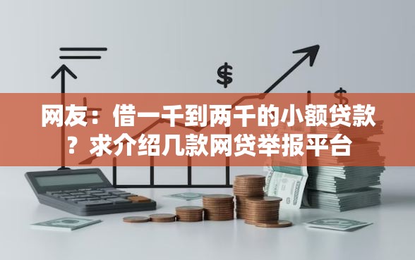 网友：借一千到两千的小额贷款？求介绍几款网贷举报平台