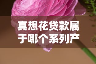 真想花贷款属于哪个系列产品