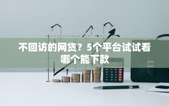 不回访的网贷？5个平台试试看哪个能下款