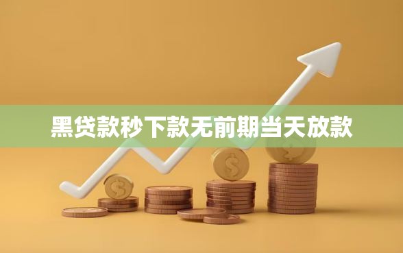 黑贷款秒下款无前期当天放款