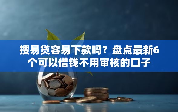 搜易贷容易下款吗？盘点最新6个可以借钱不用审核的口子
