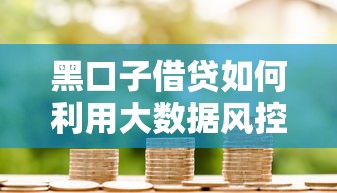 黑口子借贷如何利用大数据风控