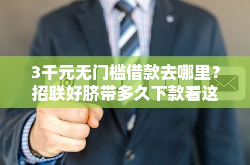 3千元无门槛借款去哪里？招联好脐带多久下款看这7个平台