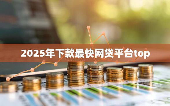 2025年下款最快网贷平台top