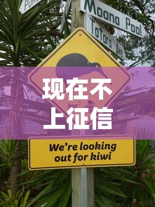 现在不上征信的网贷还要还吗？看看这8个阿里巴巴贷款平台怎么样