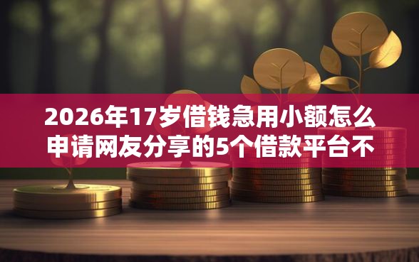 2026年17岁借钱急用小额怎么申请网友分享的5个借款平台不看征信负债我觉得不错！