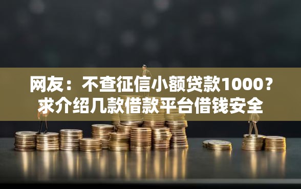 网友：不查征信小额贷款1000？求介绍几款借款平台借钱安全