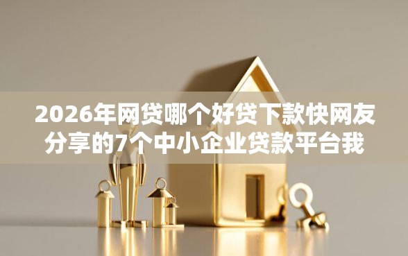 2026年网贷哪个好贷下款快网友分享的7个中小企业贷款平台我觉得不错！