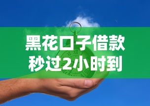 黑花口子借款秒过2小时到账