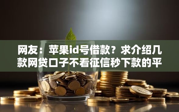 网友：苹果id号借款？求介绍几款网贷口子不看征信秒下款的平台