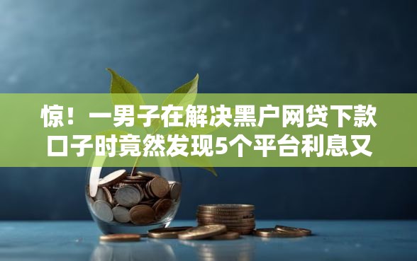 惊！一男子在解决黑户网贷下款口子时竟然发现5个平台利息又低又正规，事后分享了出来