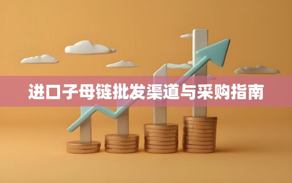 进口子母链批发渠道与采购指南