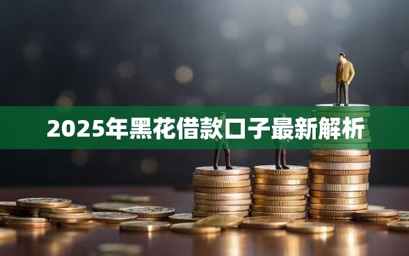 2025年黑花借款口子最新解析