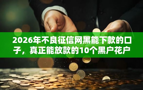 2026年不良征信网黑能下款的口子，真正能放款的10个黑户花户能下款的平台推荐