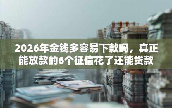 2026年金钱多容易下款吗，真正能放款的6个征信花了还能贷款的正规平台推荐