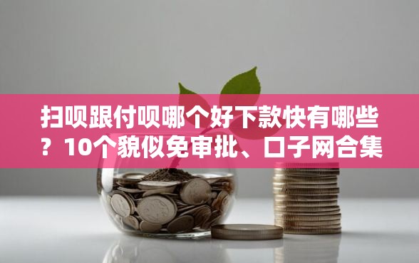 扫呗跟付呗哪个好下款快有哪些？10个貌似免审批、口子网合集