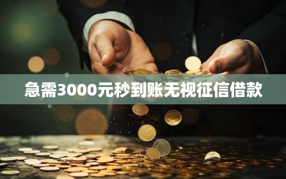 急需3000元秒到账无视征信借款