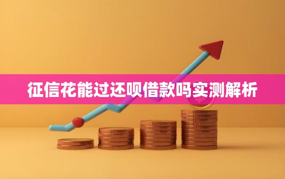 征信花能过还呗借款吗实测解析