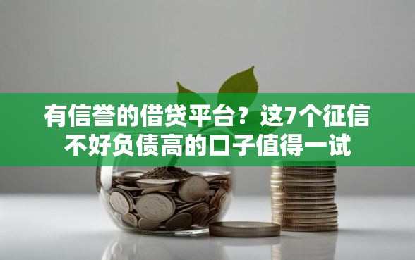 有信誉的借贷平台？这7个征信不好负债高的口子值得一试