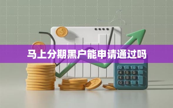 马上分期黑户能申请通过吗