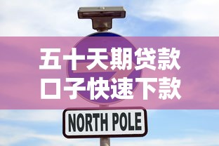 五十天期贷款口子快速下款攻略