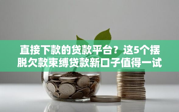 直接下款的贷款平台？这5个摆脱欠款束缚贷款新口子值得一试