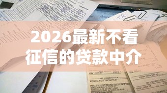2026最新不看征信的贷款中介，总结十个贷款容易的平台！