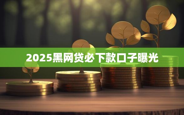 2025黑网贷必下款口子曝光