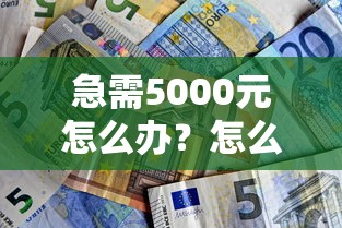 急需5000元怎么办？怎么从银行低息借钱呢试试这6个无门槛平台