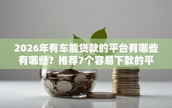 2026年有车能贷款的平台有哪些有哪些？推荐7个容易下款的平台