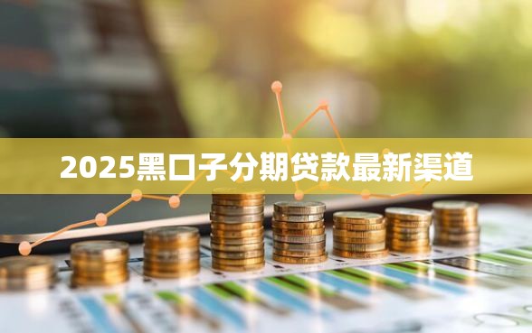 2025黑口子分期贷款最新渠道