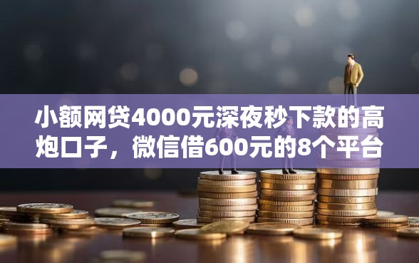 小额网贷4000元深夜秒下款的高炮口子，微信借600元的8个平台介绍