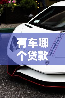 有车哪个贷款平台好下款拢共有哪些选择？7个黑白花户必过的贷款平台详解