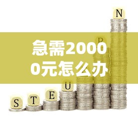 急需20000元怎么办？2025网贷利息低口子试试这8个无门槛平台