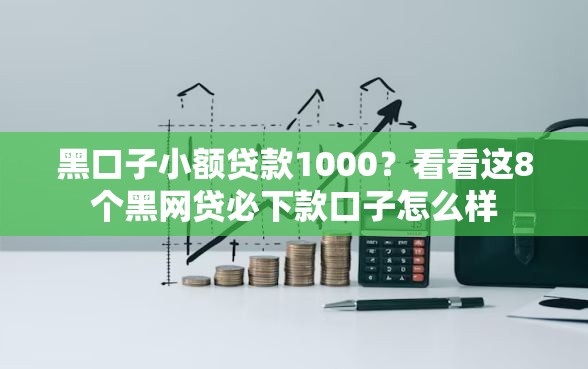 黑口子小额贷款1000？看看这8个黑网贷必下款口子怎么样