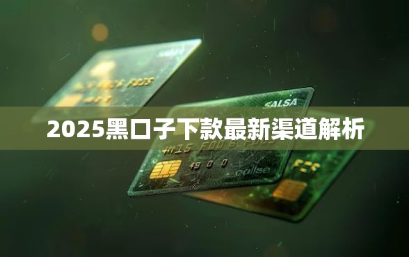 2025黑口子下款最新渠道解析