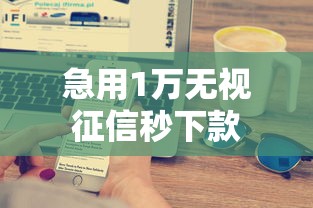 急用1万无视征信秒下款