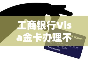 工商银行Visa金卡办理不通过？网友亲测7个平台利息又低又正规盘点