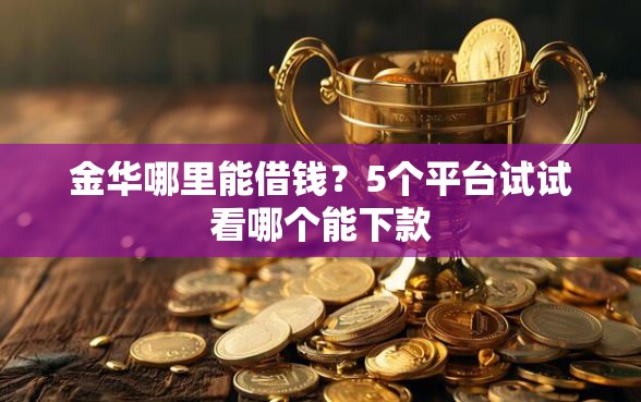 金华哪里能借钱？5个平台试试看哪个能下款