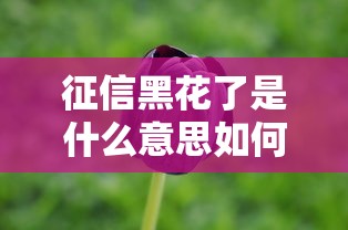 征信黑花了是什么意思如何恢复