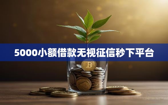 5000小额借款无视征信秒下平台