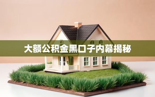 大额公积金黑口子内幕揭秘