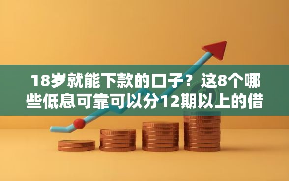 18岁就能下款的口子？这8个哪些低息可靠可以分12期以上的借款平台值得一试