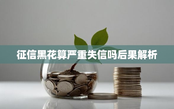 征信黑花算严重失信吗后果解析