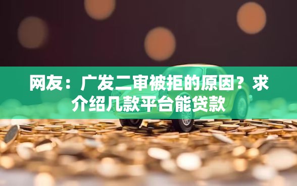 网友：广发二审被拒的原因？求介绍几款平台能贷款